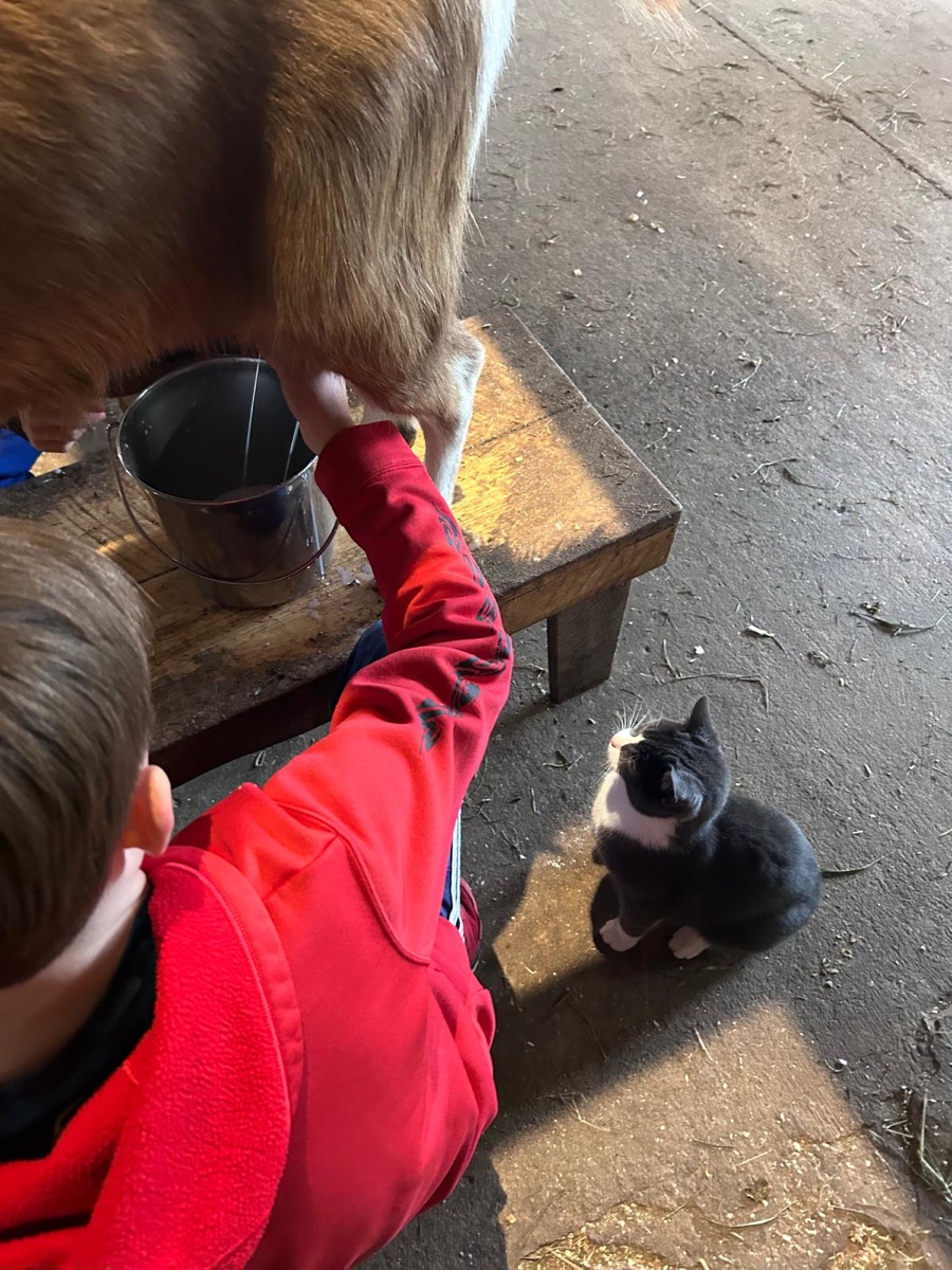 Montessori guidance