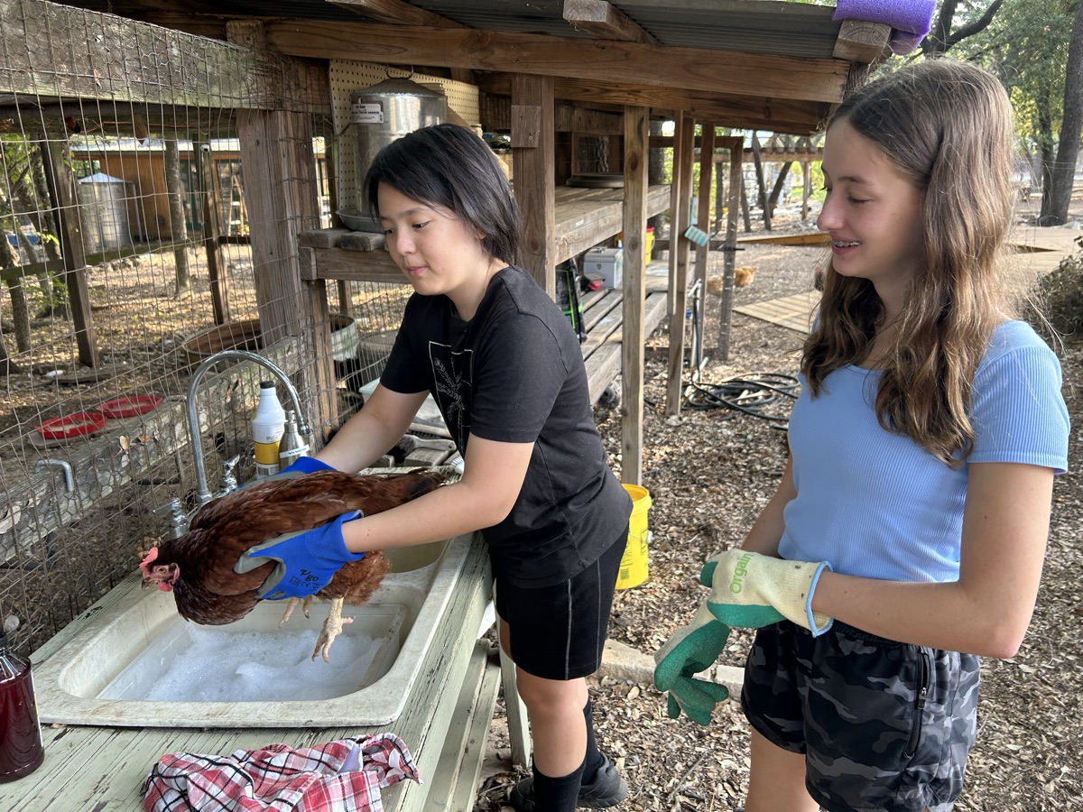 Montessori guidance